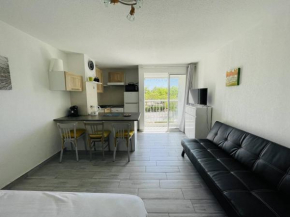 Studio rénové, calme, proche plage et commodités, parking inclus - FR-1-723-105